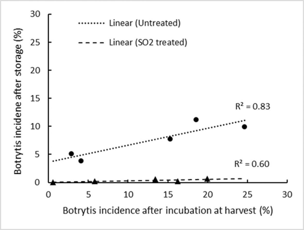 Graph: Linear relationship between botrytis rot incidence 