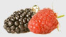 Berries Menu Item