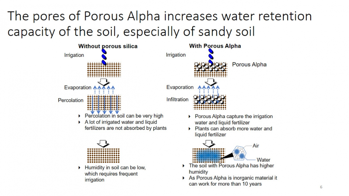 The pores of Porous Alpha increases water retention capacity of the soil, especially of sandy soil
