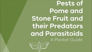 Stonefruit integrated pest management