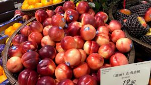 Stonefruit: Predicting impacts on fruit quality