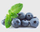 Blueberries Menu Item