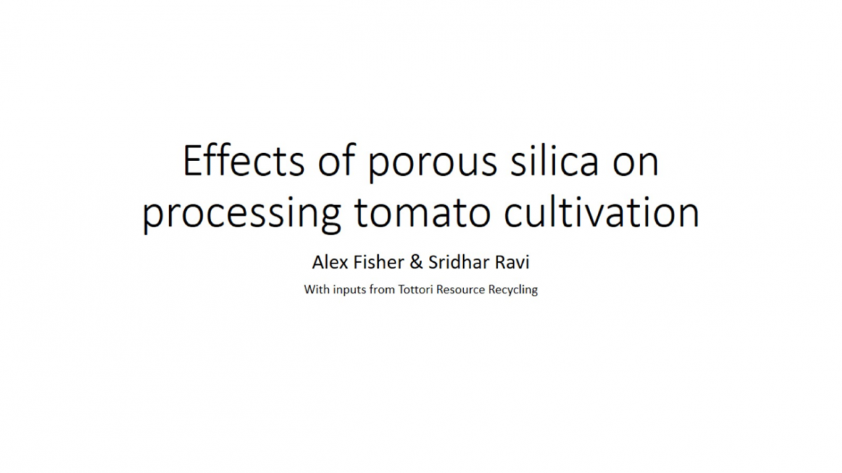 Effects of porous silica on processing tomato cultivation