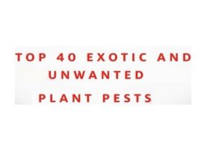 Exotic Pests and Diseases