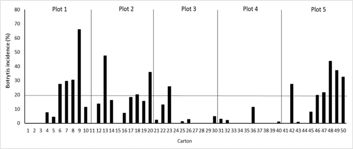 Graph: Botrytis rot incidence after incubation at harvest for 4 days at 18 °C among plots and cartons of ‘Luisco’ grapes in a commercial vineyard