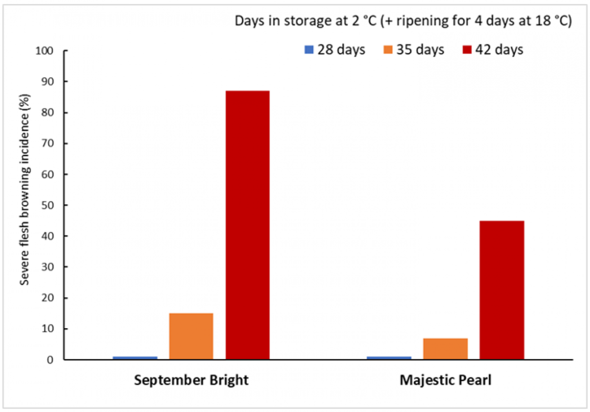 Effect of simulated sea freight duration and marketing 