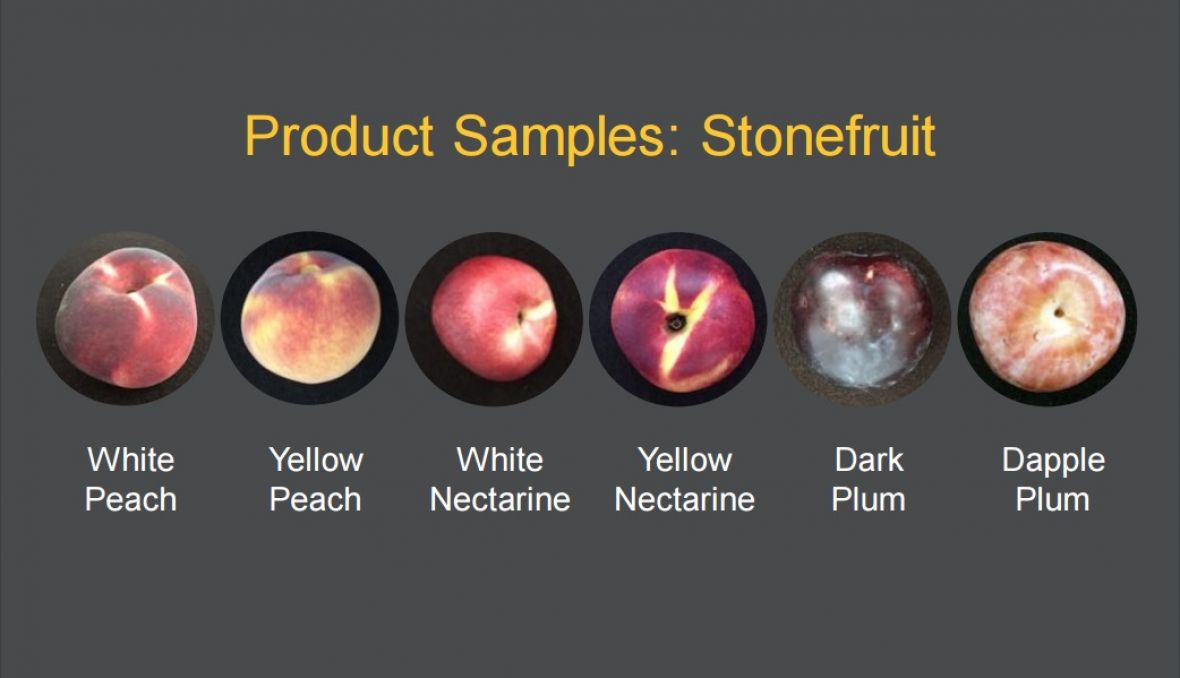stonefruit product samples  for export consumer preferences