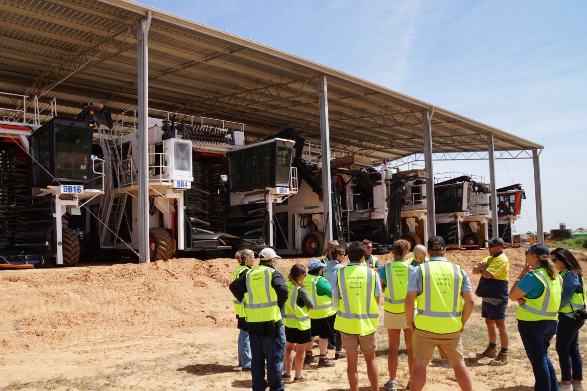 Horticulture industry network visit to Boundary Bend Olives