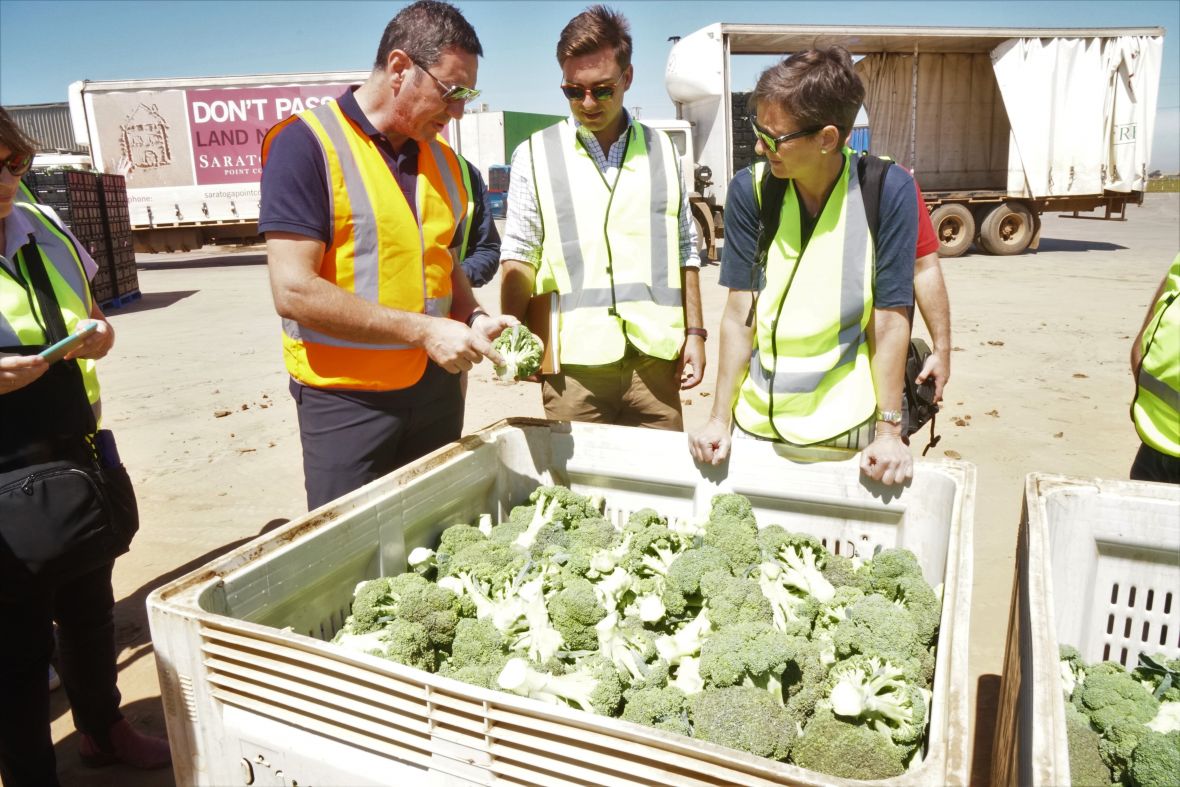 Horticulture industry network members visit Fresh Select