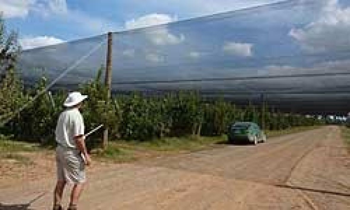 permanent shade netting