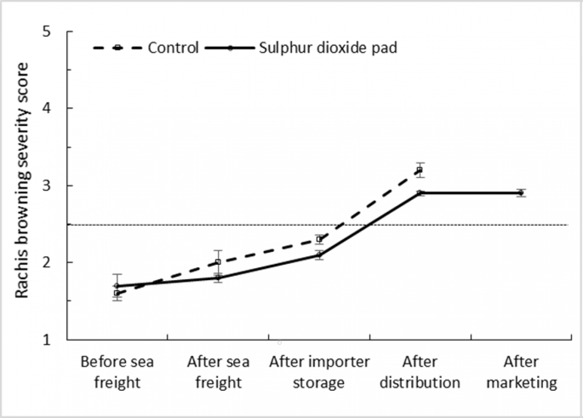 Figure 4a. Effect of SO2 treatment and export stage on rachis browning severity score in ‘Crimson Seedless’ 