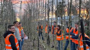 Narrow orchard systems for future climates (AS22002)