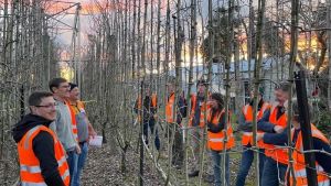 Narrow orchard systems for future climates