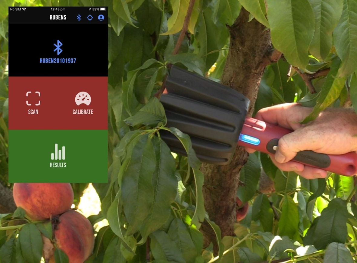 Rubens sensor and App Screen