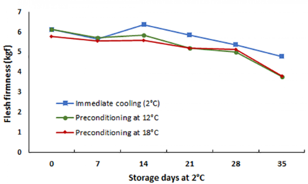 Flesh firmness versus storage 