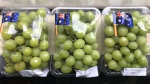 Table grapes: Real-time temperature monitoring for sea-freight to Asia