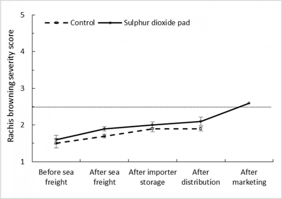 Effect of SO2 treatment and export stage on rachis browning severity score in ‘Sweet Sapphire’ grapes