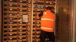 Table grape cool storage performance