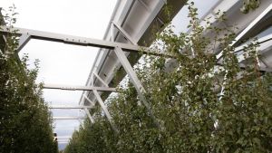 Energy Efficiency in Horticulture - examples from 3 businesses (webinar)