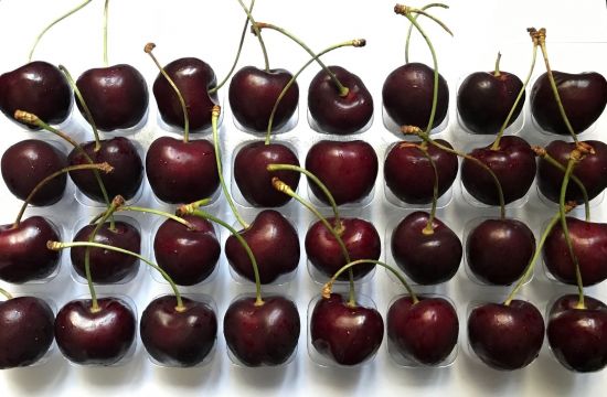 Cherries for Quality Assurance testing