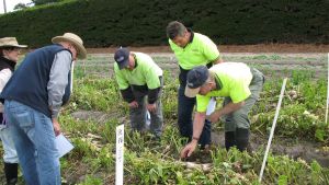 Skilled Workforce Solutions for Horticulture