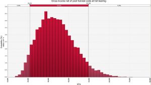 Blush pear economic feasibility 