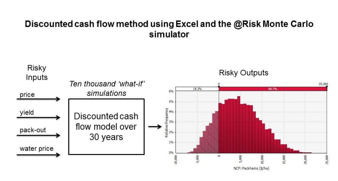 Graph on Discounted cash flow method using Excel and the @Risk Monte Carlo simulator