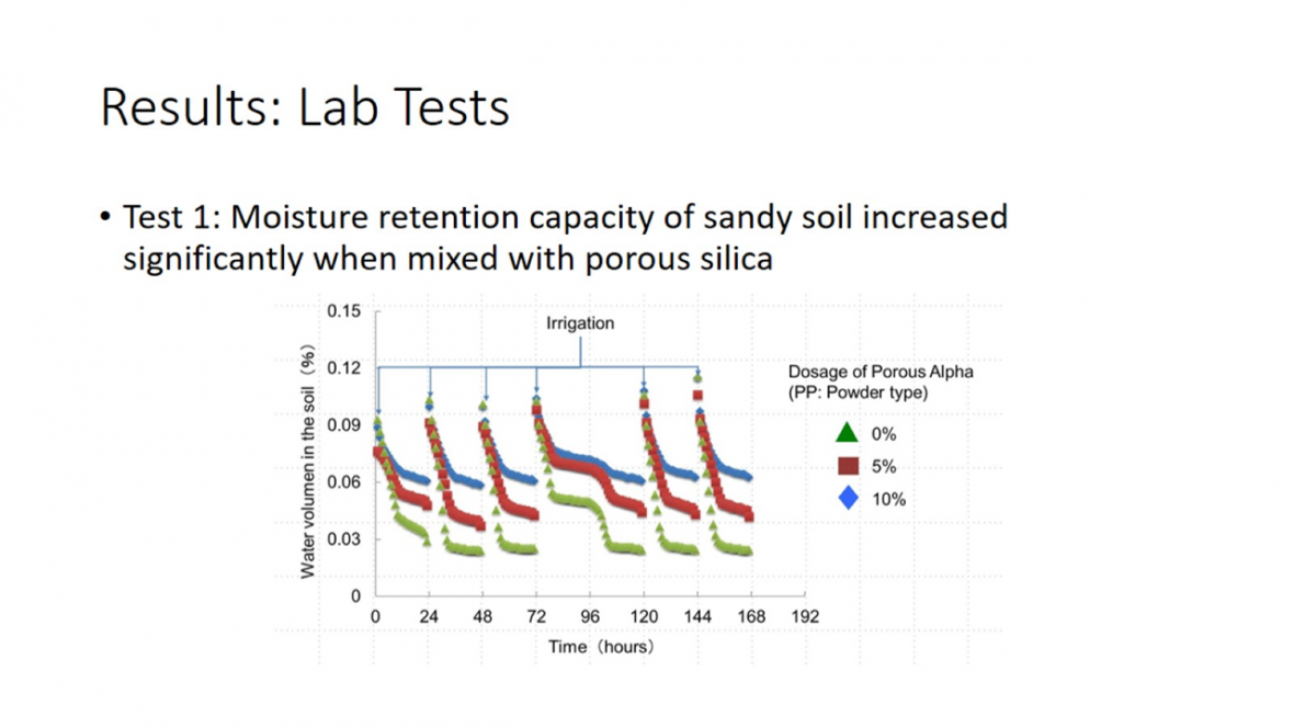 Results: Lab Tests