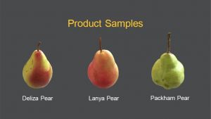 Blush pear export market research 