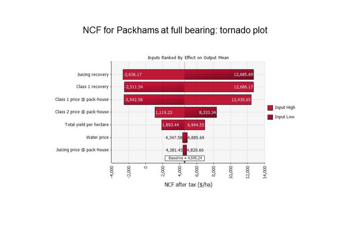 NCF for Packhams at full bearing