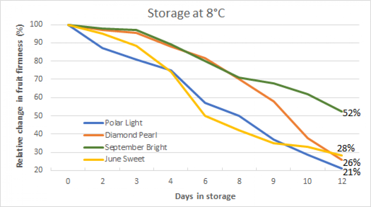Relative change in fruit firmness over the number of days in storage at 8°C