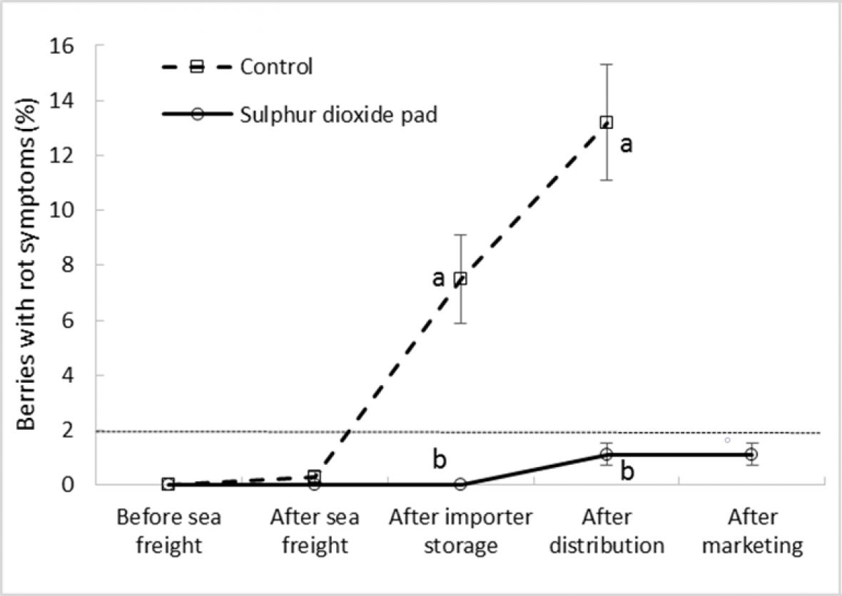 Effect of SO2 treatment and export stage on bunch rot incidence in ‘Crimson Seedless’ 