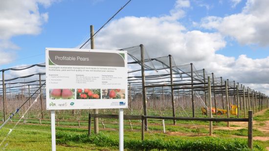 Profitable Pears Field Laboratory