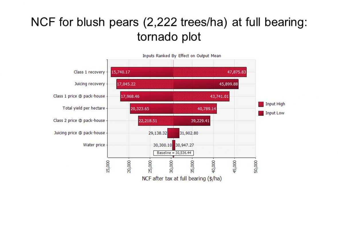NCF for Blush Pears at full bearing