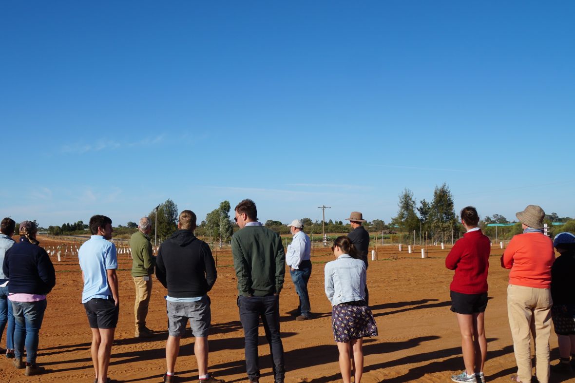 Horticulture industry network visit to Temperate nut research orchard, Irymple