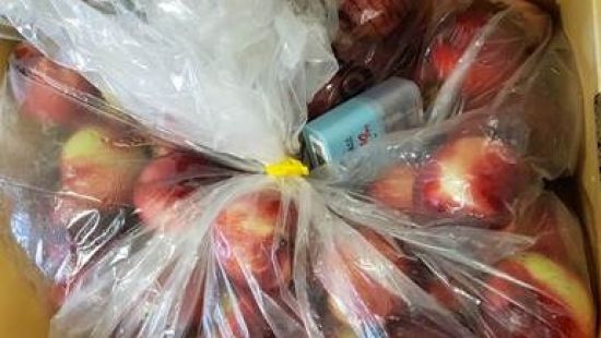 Stonefruit bagged for export with a temperature logger