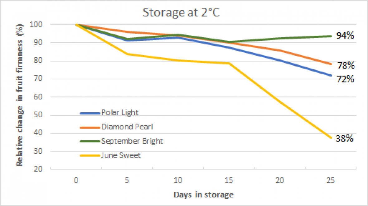 Relative change in fruit firmness over the number of days in storage at 2°C