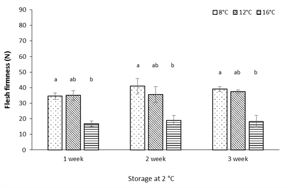 Graph:Effect of air freight temperature treatment, storage duration at 2 °C, and ripening at 18 °C for 3 days, on flesh firmness among ‘Polar Queen’ peach