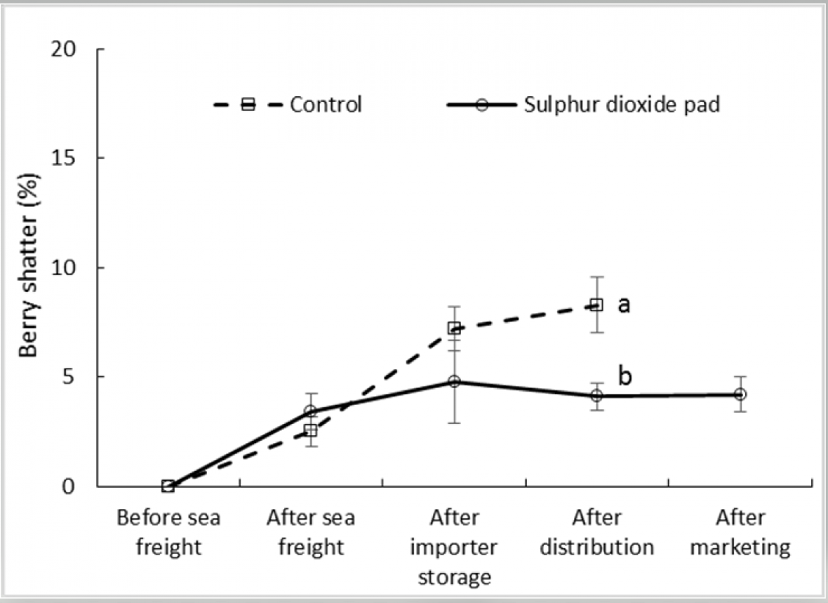 Figure 3. Effect of SO2 treatment and export stage on incidence of berry shatter 