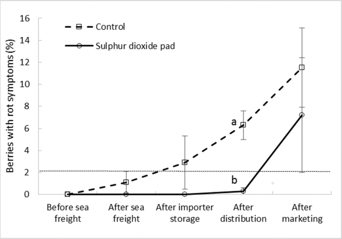 Effect of SO2 treatment and export stage on bunch rot incidence in ‘Sweet Sapphire’ grapes 