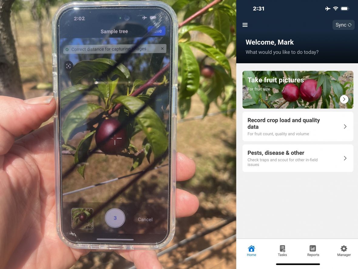 Phone app in orchard