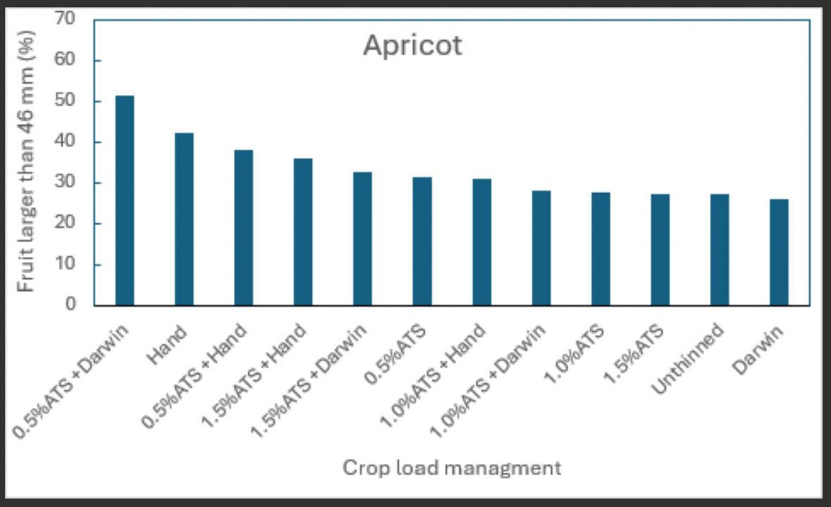 Graph: Apricot Crop load management comparing various blossom and fruitlet thinning techniques