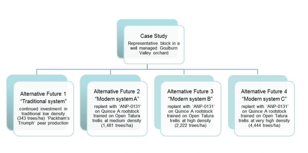 Economic Case Study looking at different models of tree system plantings