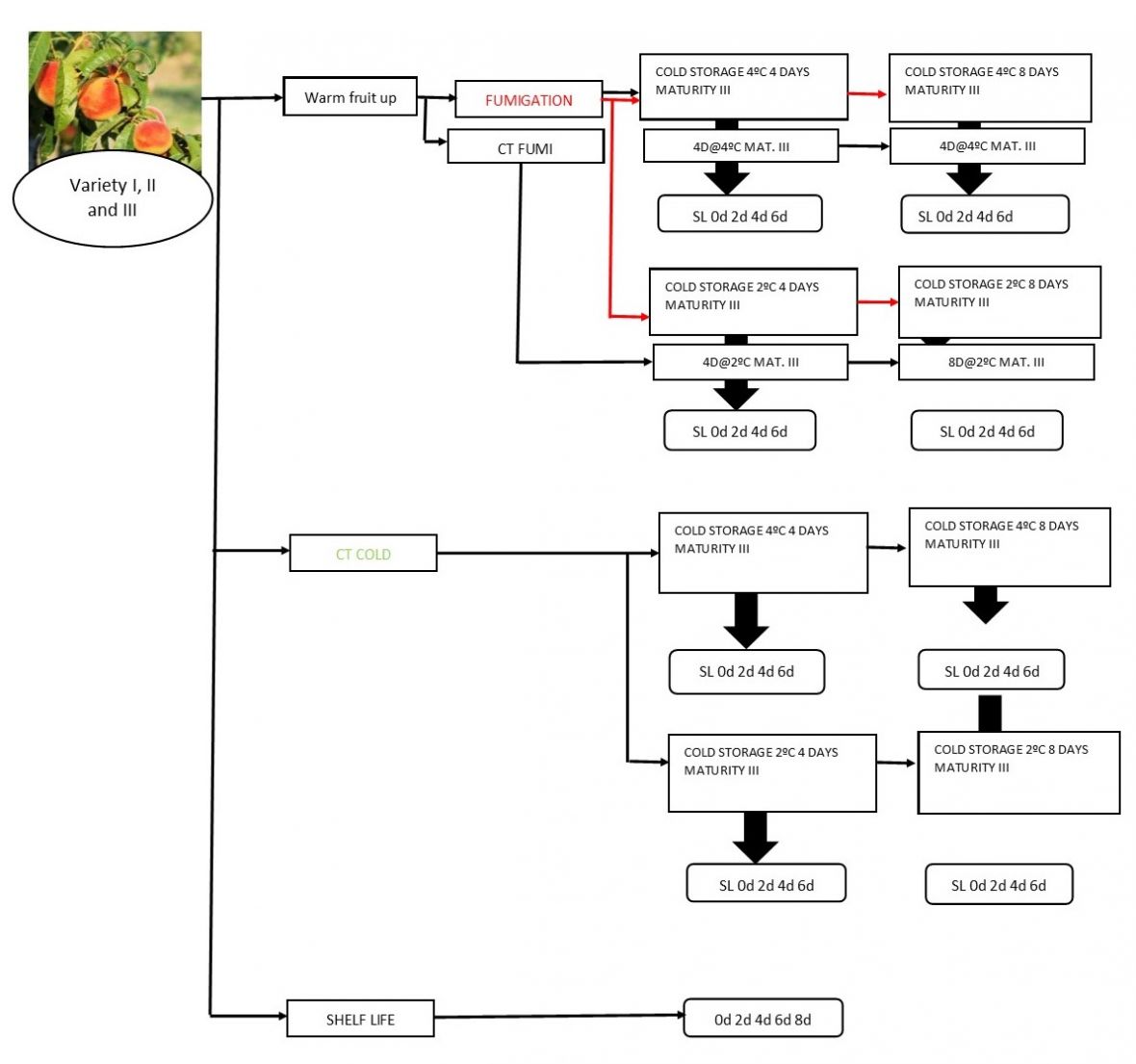 Stonefruit fumigation flowchart