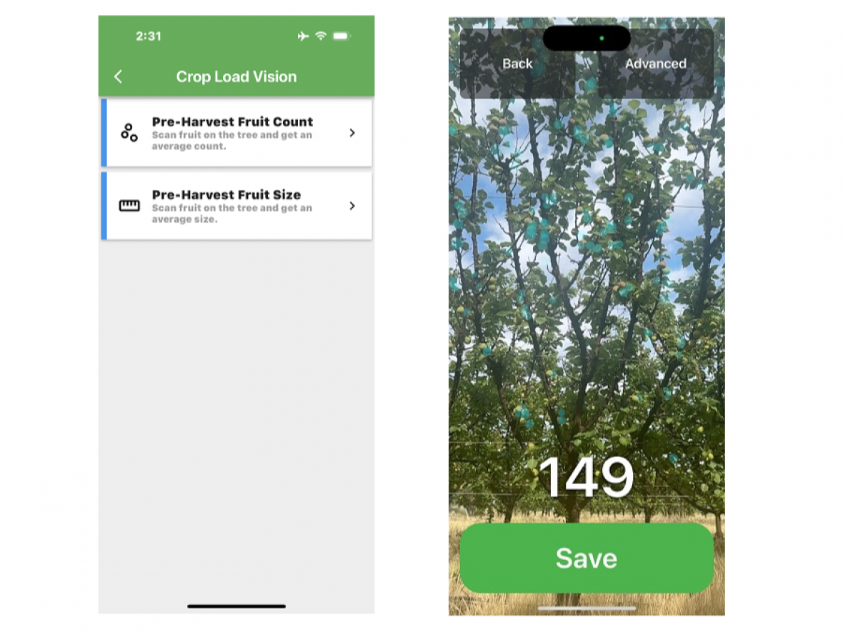 Test app for summerfruit orchard scanning