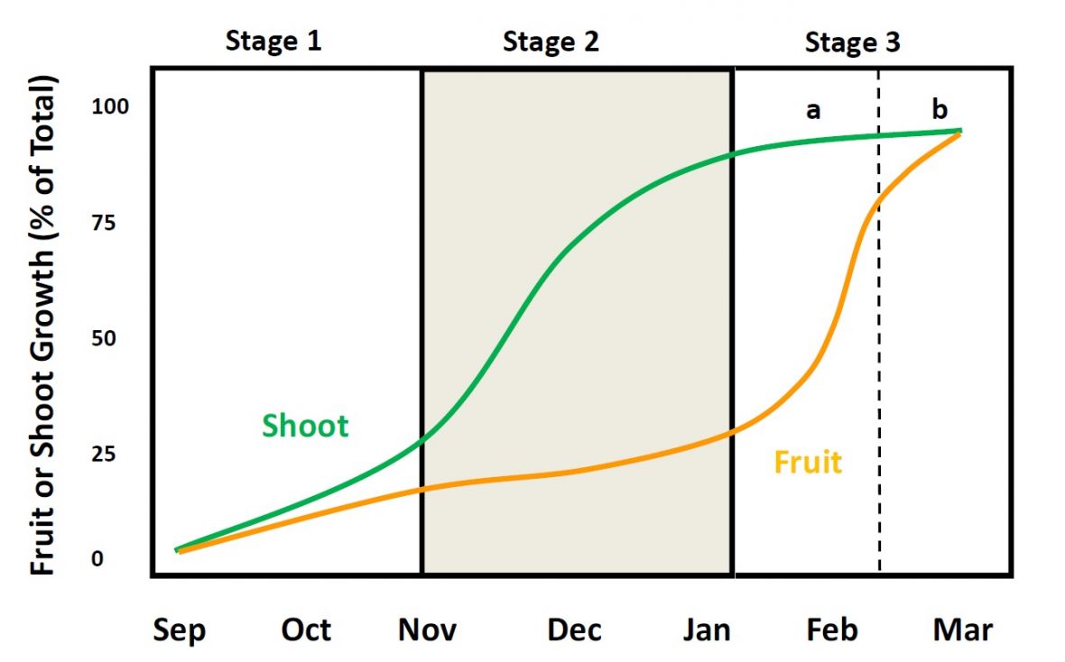 Shoot & Fruit Growth graph