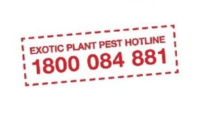 Emergency Plant Pest Reporting