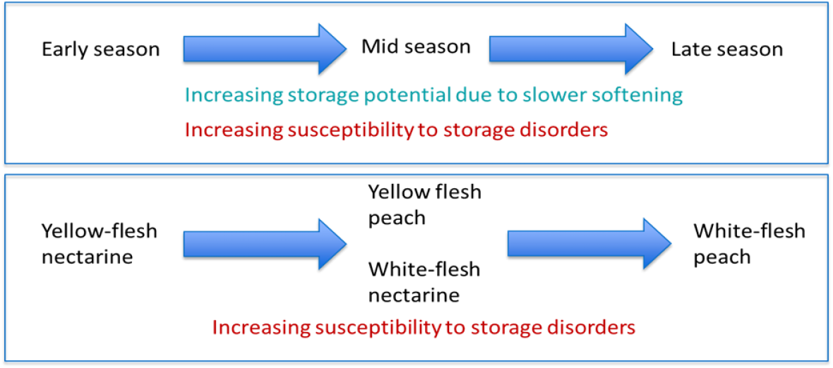 Increasing susceptibility of storage disorders