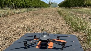 AgTech and Precision Agriculture to set and measure crop load and fruit size