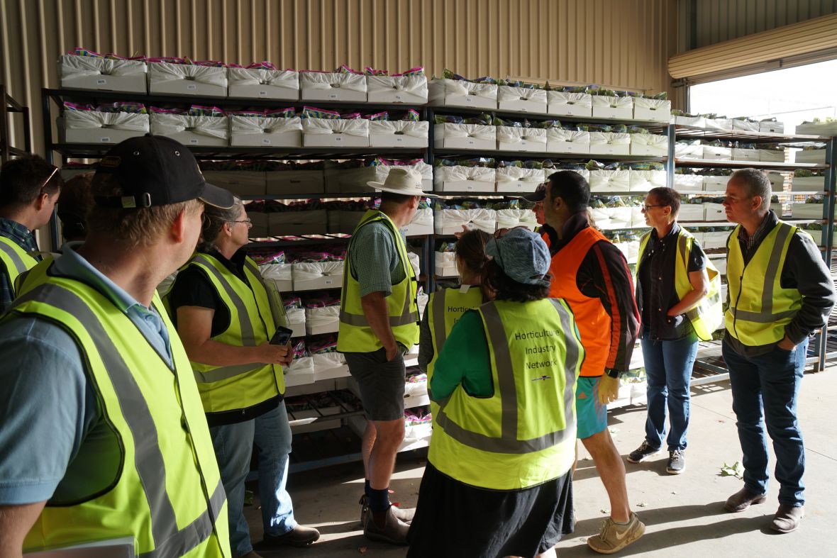 Horticulture industry network visit to Fruit Master Table grapes - exports, marketing business